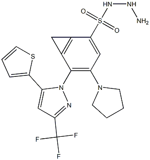 N1-hydrazino(tetrahydro-1H-pyrrol-1-yl)methylidene-4-[5-(2-thienyl)-3-(trifluoromethyl)-1H-pyrazol-1-yl]benzene-1-sulfonamide 化学構造式