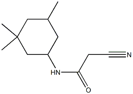 N1-(3,3,5-trimethylcyclohexyl)-2-cyanoacetamide Structure