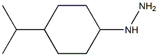 1-(4-isopropylcyclohexyl)hydrazine|