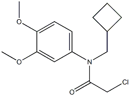 2-chloro-N-(cyclobutylmethyl)-N-(3,4-dimethoxyphenyl)acetamide
