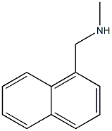 N-METHYL-1-NAPHTHALENMETHYLAMINE Structure