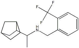  (1-{bicyclo[2.2.1]heptan-2-yl}ethyl)({[2-(trifluoromethyl)phenyl]methyl})amine