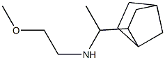 (1-{bicyclo[2.2.1]heptan-2-yl}ethyl)(2-methoxyethyl)amine