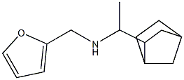 (1-{bicyclo[2.2.1]heptan-2-yl}ethyl)(furan-2-ylmethyl)amine|