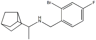 (1-{bicyclo[2.2.1]heptan-2-yl}ethyl)[(2-bromo-4-fluorophenyl)methyl]amine|