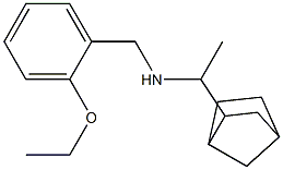 (1-{bicyclo[2.2.1]heptan-2-yl}ethyl)[(2-ethoxyphenyl)methyl]amine