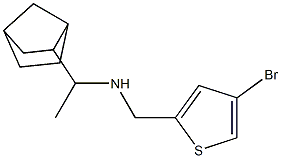 (1-{bicyclo[2.2.1]heptan-2-yl}ethyl)[(4-bromothiophen-2-yl)methyl]amine