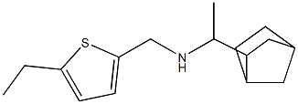 (1-{bicyclo[2.2.1]heptan-2-yl}ethyl)[(5-ethylthiophen-2-yl)methyl]amine|