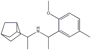 (1-{bicyclo[2.2.1]heptan-2-yl}ethyl)[1-(2-methoxy-5-methylphenyl)ethyl]amine