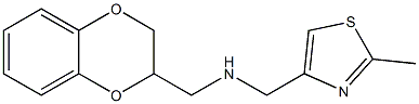 (2,3-dihydro-1,4-benzodioxin-2-ylmethyl)[(2-methyl-1,3-thiazol-4-yl)methyl]amine 化学構造式