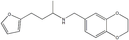(2,3-dihydro-1,4-benzodioxin-6-ylmethyl)[4-(furan-2-yl)butan-2-yl]amine 化学構造式