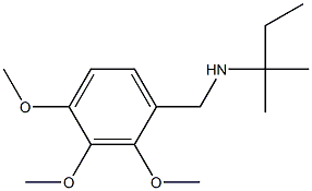 (2-methylbutan-2-yl)[(2,3,4-trimethoxyphenyl)methyl]amine Structure