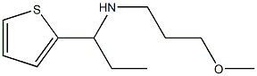(3-methoxypropyl)[1-(thiophen-2-yl)propyl]amine,,结构式