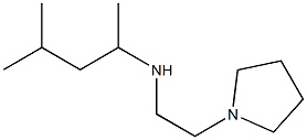 (4-methylpentan-2-yl)[2-(pyrrolidin-1-yl)ethyl]amine|