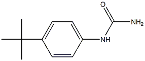 (4-tert-butylphenyl)urea 化学構造式