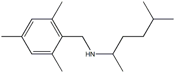 (5-methylhexan-2-yl)[(2,4,6-trimethylphenyl)methyl]amine,,结构式