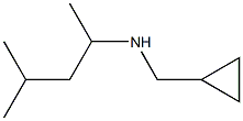 (cyclopropylmethyl)(4-methylpentan-2-yl)amine