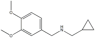 (cyclopropylmethyl)[(3,4-dimethoxyphenyl)methyl]amine 结构式