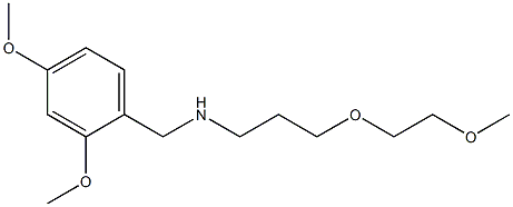 [(2,4-dimethoxyphenyl)methyl][3-(2-methoxyethoxy)propyl]amine|