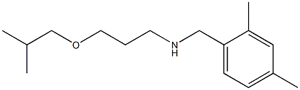 [(2,4-dimethylphenyl)methyl][3-(2-methylpropoxy)propyl]amine