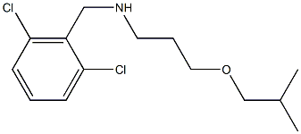 [(2,6-dichlorophenyl)methyl][3-(2-methylpropoxy)propyl]amine Structure