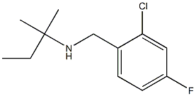 [(2-chloro-4-fluorophenyl)methyl](2-methylbutan-2-yl)amine,,结构式