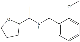 [(2-methoxyphenyl)methyl][1-(oxolan-2-yl)ethyl]amine Struktur