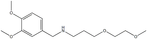  [(3,4-dimethoxyphenyl)methyl][3-(2-methoxyethoxy)propyl]amine