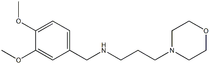 [(3,4-dimethoxyphenyl)methyl][3-(morpholin-4-yl)propyl]amine 结构式