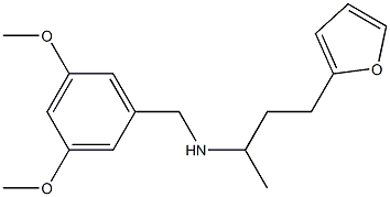 [(3,5-dimethoxyphenyl)methyl][4-(furan-2-yl)butan-2-yl]amine|