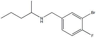 [(3-bromo-4-fluorophenyl)methyl](pentan-2-yl)amine|