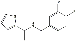 [(3-bromo-4-fluorophenyl)methyl][1-(thiophen-2-yl)ethyl]amine Structure