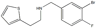 [(3-bromo-4-fluorophenyl)methyl][2-(thiophen-2-yl)ethyl]amine