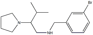 [(3-bromophenyl)methyl][3-methyl-2-(pyrrolidin-1-yl)butyl]amine,,结构式