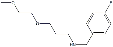 [(4-fluorophenyl)methyl][3-(2-methoxyethoxy)propyl]amine 结构式