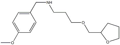  [(4-methoxyphenyl)methyl][3-(oxolan-2-ylmethoxy)propyl]amine