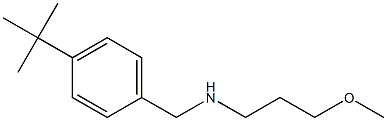[(4-tert-butylphenyl)methyl](3-methoxypropyl)amine 化学構造式