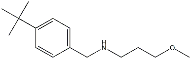 [(4-tert-butylphenyl)methyl](3-methoxypropyl)amine Structure