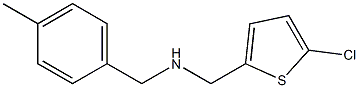  [(5-chlorothiophen-2-yl)methyl][(4-methylphenyl)methyl]amine