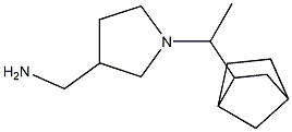 [1-(1-bicyclo[2.2.1]hept-2-ylethyl)pyrrolidin-3-yl]methylamine