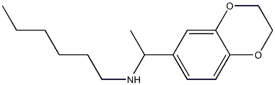 [1-(2,3-dihydro-1,4-benzodioxin-6-yl)ethyl](hexyl)amine