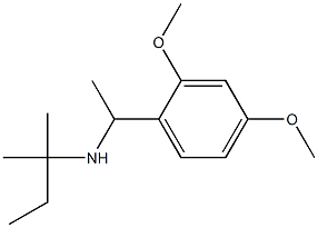 [1-(2,4-dimethoxyphenyl)ethyl](2-methylbutan-2-yl)amine