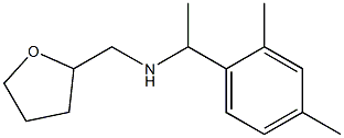 [1-(2,4-dimethylphenyl)ethyl](oxolan-2-ylmethyl)amine Struktur