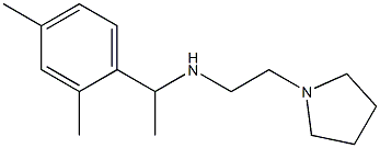 [1-(2,4-dimethylphenyl)ethyl][2-(pyrrolidin-1-yl)ethyl]amine Structure