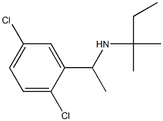 [1-(2,5-dichlorophenyl)ethyl](2-methylbutan-2-yl)amine Structure