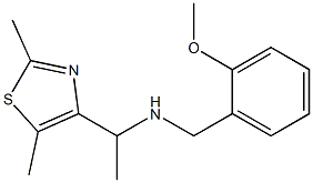 [1-(2,5-dimethyl-1,3-thiazol-4-yl)ethyl][(2-methoxyphenyl)methyl]amine 结构式