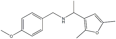 [1-(2,5-dimethylfuran-3-yl)ethyl][(4-methoxyphenyl)methyl]amine|