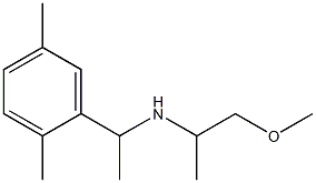 [1-(2,5-dimethylphenyl)ethyl](1-methoxypropan-2-yl)amine|