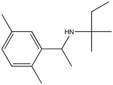  [1-(2,5-dimethylphenyl)ethyl](2-methylbutan-2-yl)amine