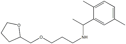 [1-(2,5-dimethylphenyl)ethyl][3-(oxolan-2-ylmethoxy)propyl]amine|